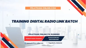 TRAINING DIGITAL RADIO LINK BATCH